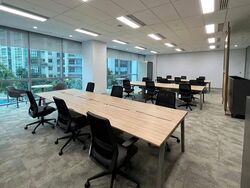 Mapletree Anson (D2), Office #520952271